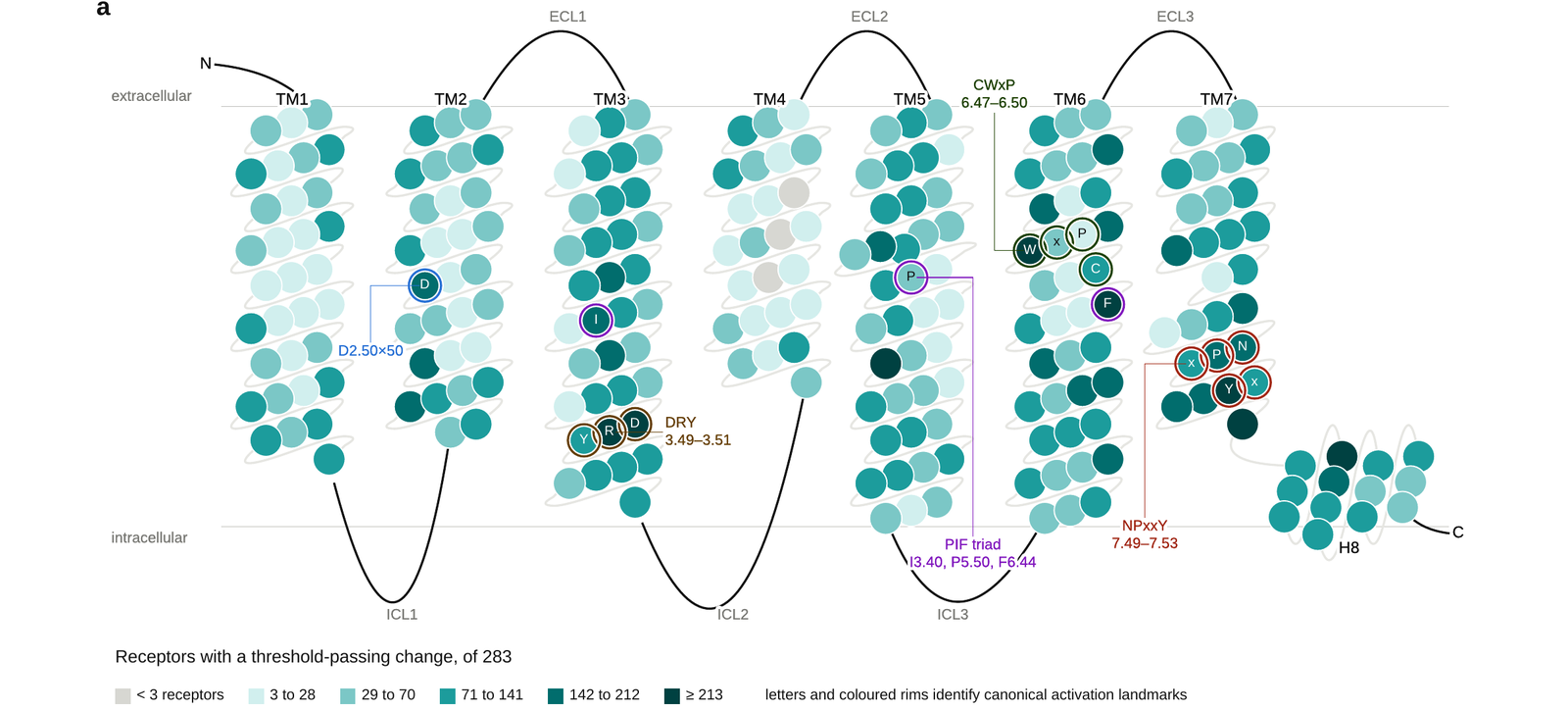 Consensus Class A topology with each generic position shaded by the number of receptors showing a threshold-passing contact change, and the DRY, NPxxY, CWxP, PIF and D2.50x50 landmarks marked