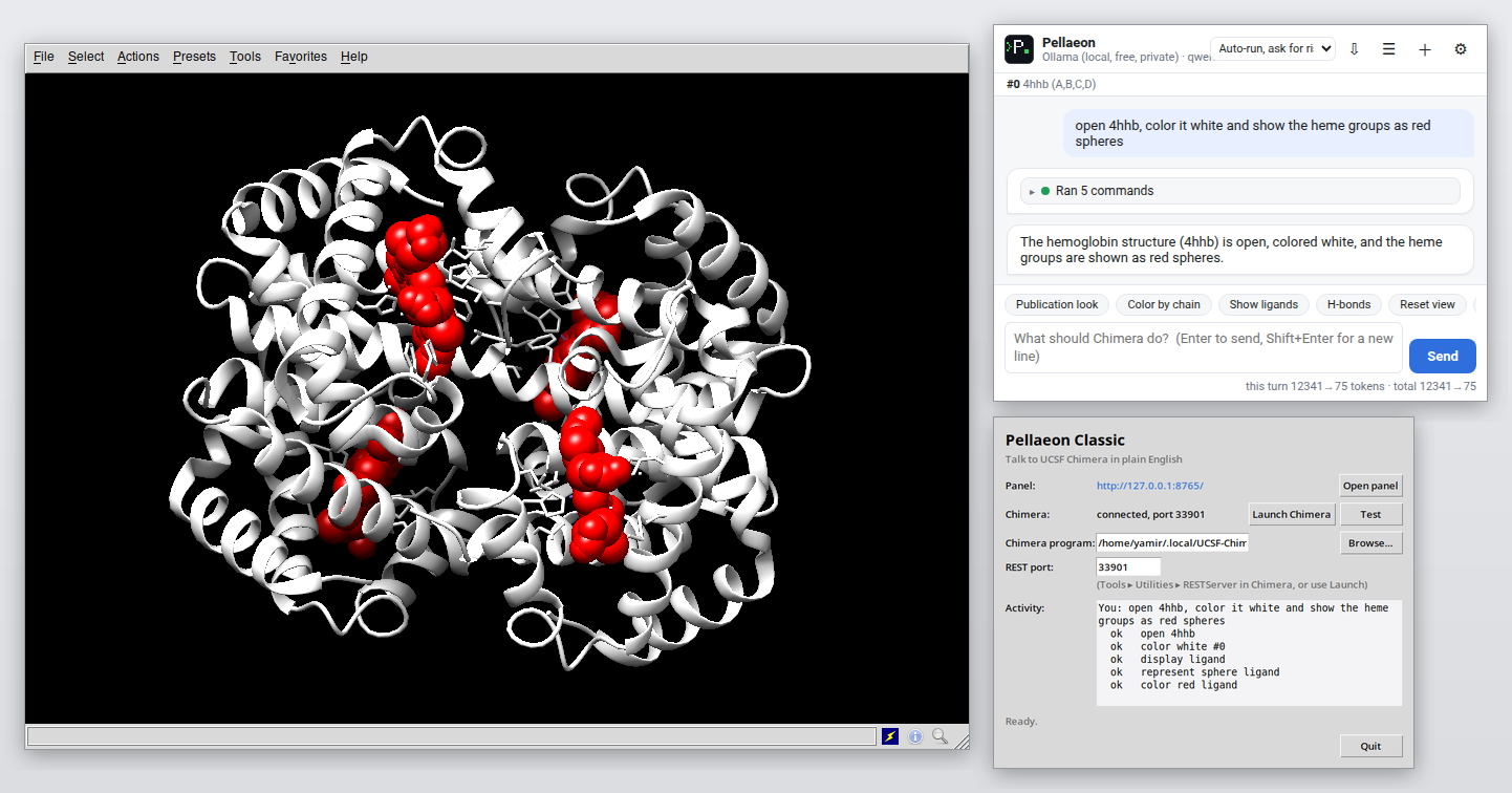 Pellaeon Classic: Chimera 1.20 with hemoglobin, the panel in a browser tab and the launcher window