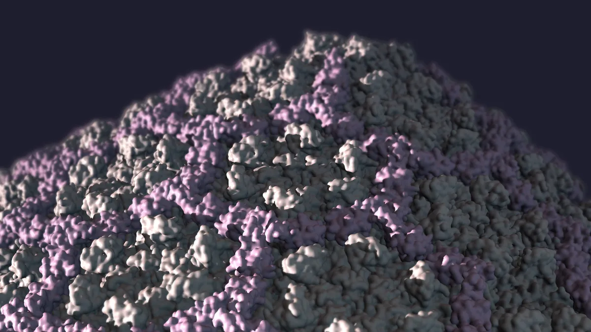The capsid surface in low light, rounded hexagonal bumps outlined in pink