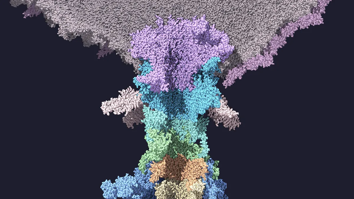 A side cutaway of the neck: purple portal, blue and teal rings, green and peach rings below, the head shell above