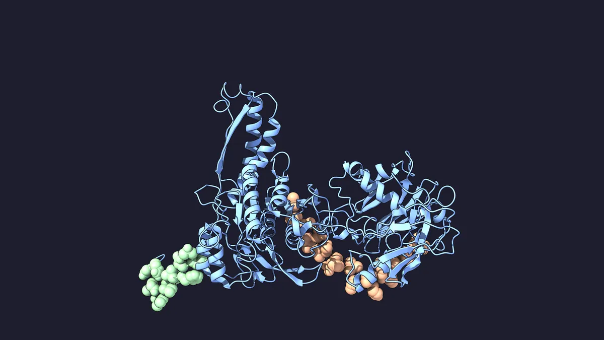 One sheath subunit as a blue ribbon with a green arm and a peach arm that swings up in the contracted state: Extended, 9MKB