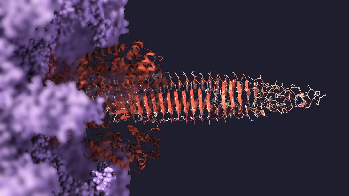 A red ribbon β-helix pointing right, ending in a thin tip, purple baseplate out of focus on the left
