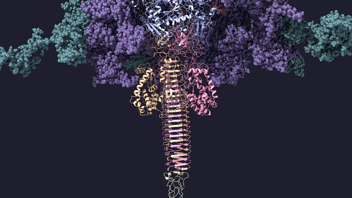 Ribbon model of a spike hanging under purple baseplate proteins