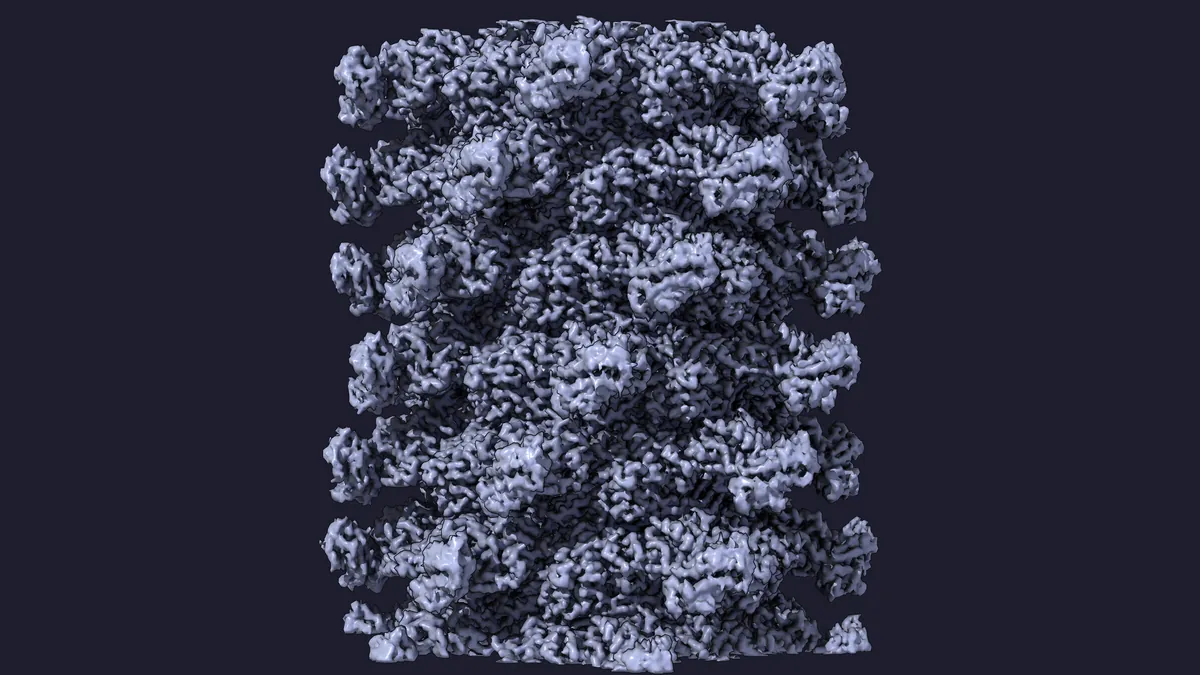 A slab of the sheath as a gray density surface and as blue atoms: Cryo-EM map, EMD-48324