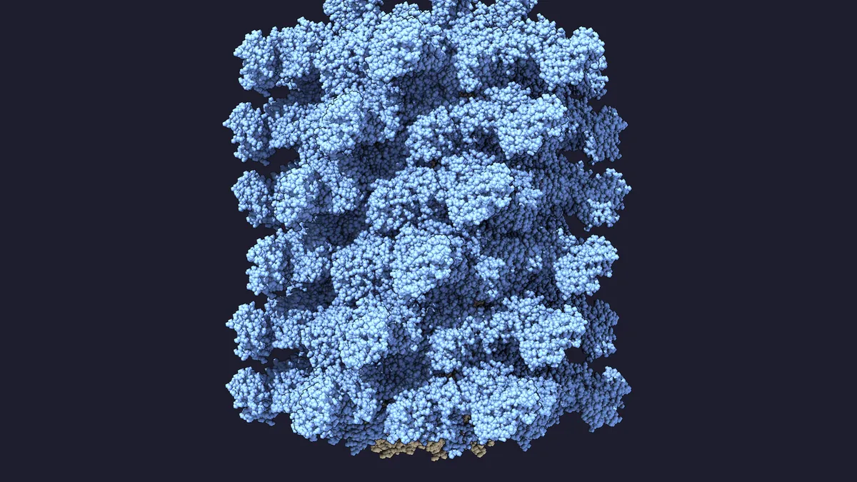 A slab of the sheath as a gray density surface and as blue atoms: Atomic model, 9MKB