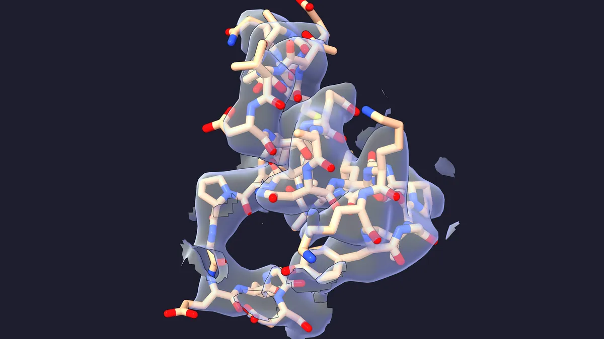 Stick model of a short stretch of protein inside a translucent gray density