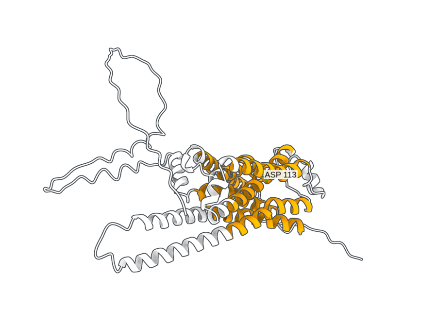 Transmembrane helices