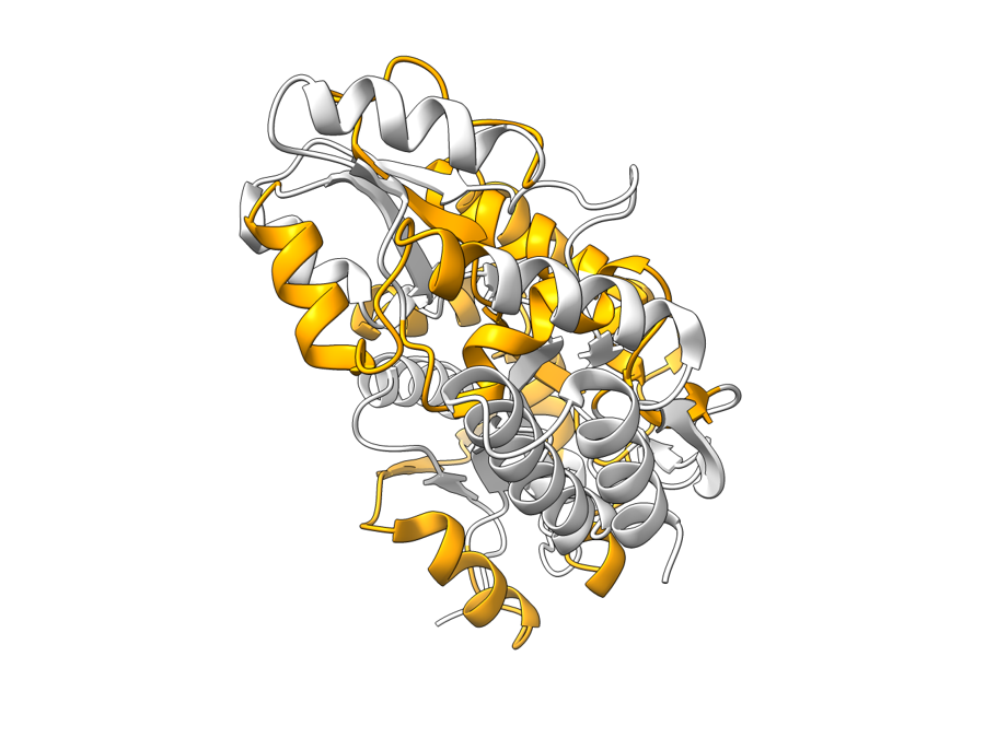 1omp styled like the hemoglobin figure
