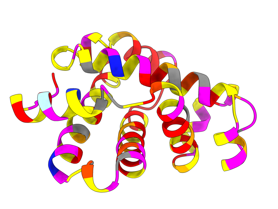 ClinVar variants on hemoglobin beta