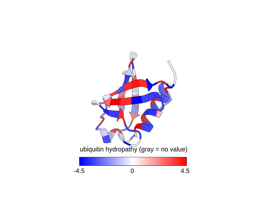 Ubiquitin colored by hydropathy