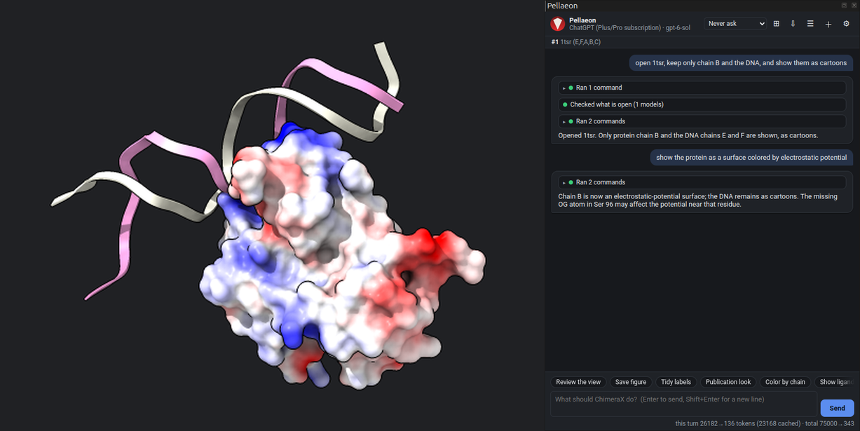 The domain as a surface coloured red to blue by Coulombic potential